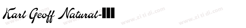 Karl Geoff Natural字体转换